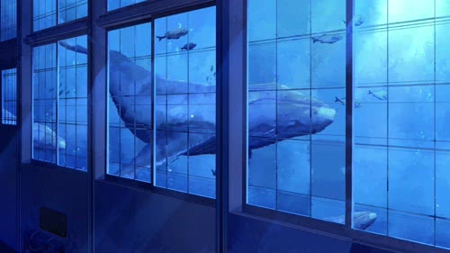 Whales Swimming Outside Your Window