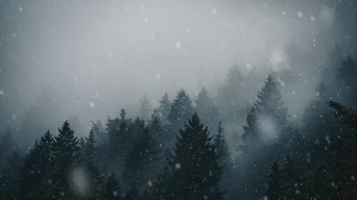 animated forest snow live wallpaper