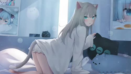 猫