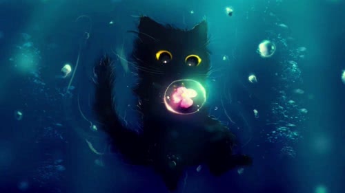 水中猫