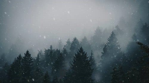 Snowfall in Forest FREE Motion Background Animatio