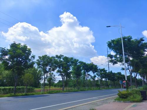 治愈风景