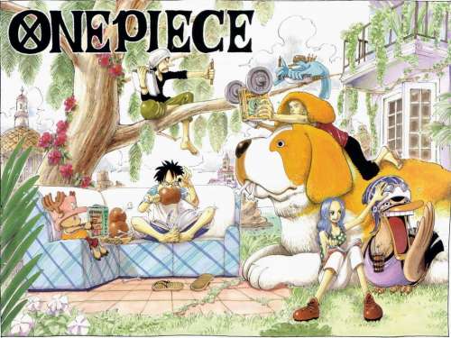 one piece