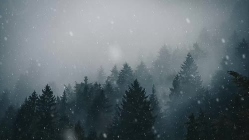 Snowfall