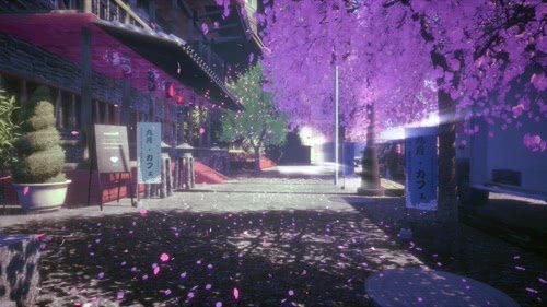  Japanese Street Cherry Blossom